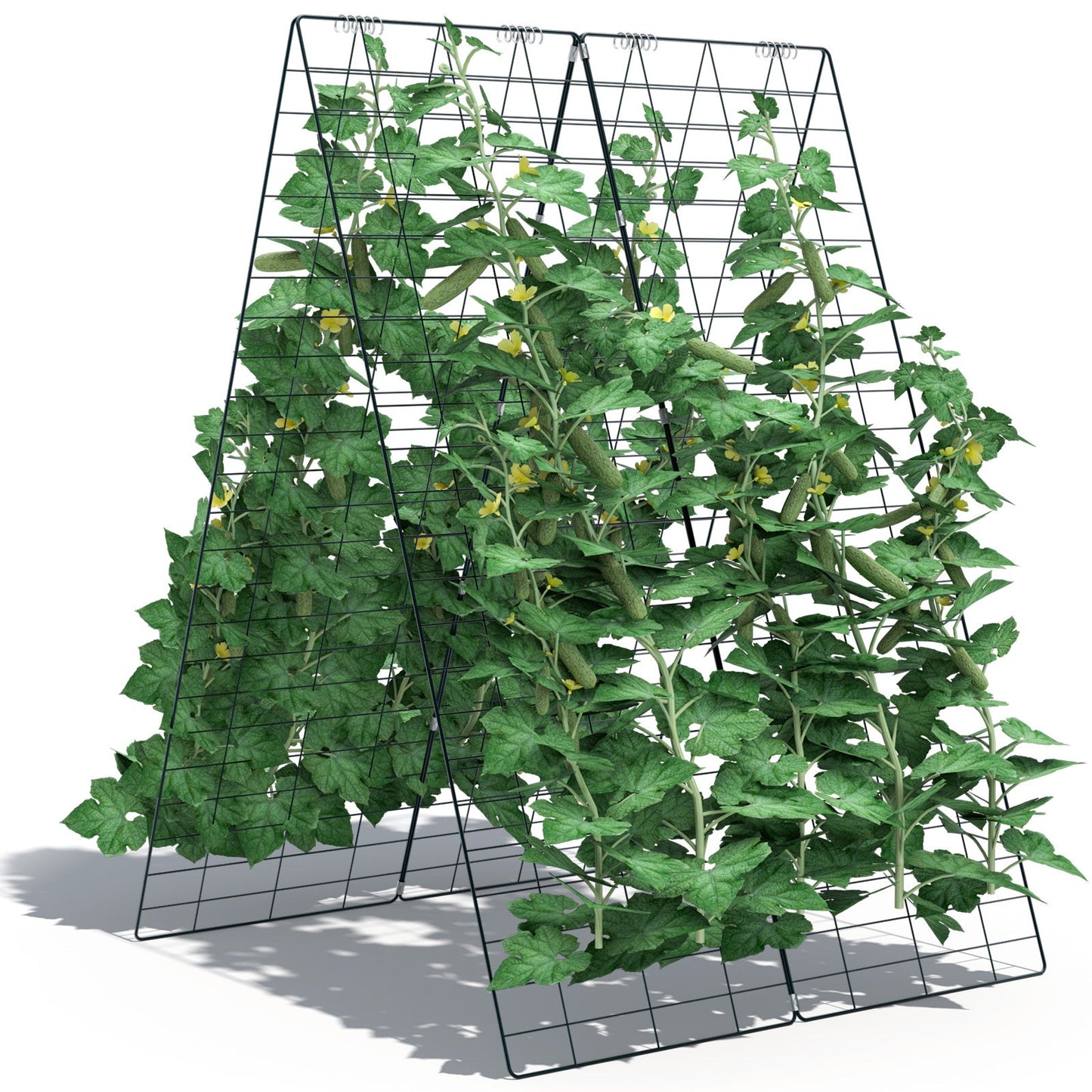 Garden Cucumber Trellis with Twist Tie for Climbing Plants