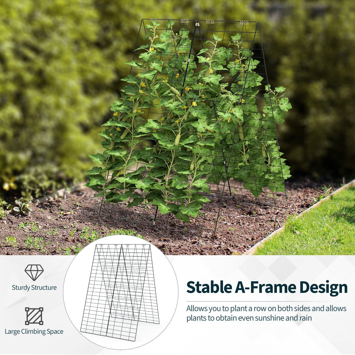 Garden Cucumber Trellis with Twist Tie for Climbing Plants