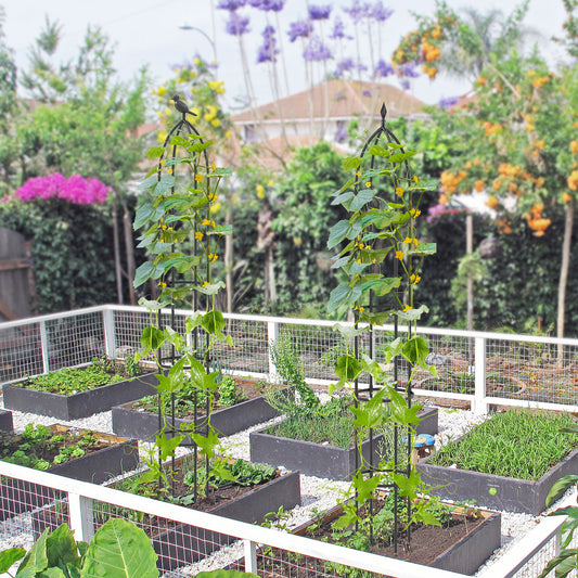 2-Pack 197 cm Garden Trellis for Climbing Plants-Black