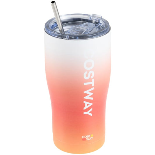 Costway Stainless Steel Tumbler with Lid and Metal Straw