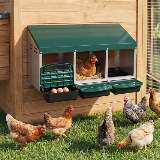 3-Compartment Roll Away Chicken Nesting Box for Hens-Green