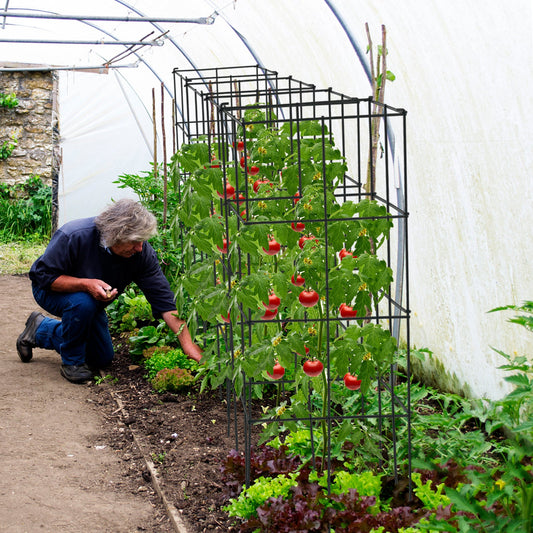 4 Pack Tomato Cage Assembled Plant Support Stakes for Vertical Climbing Plants