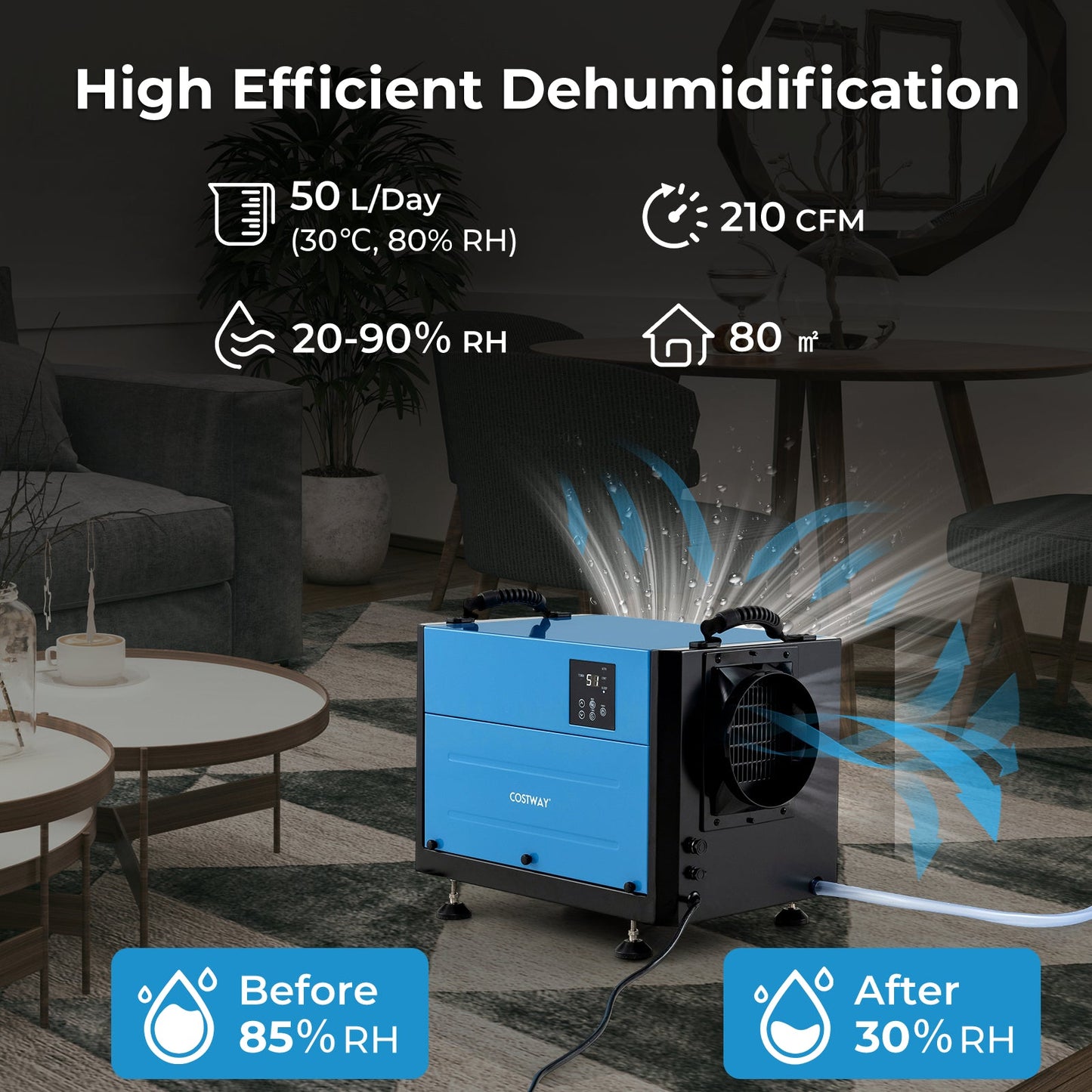 50/70L/Day Industrial Dehumidifier with Pump and Drain Hose-Blue-50L