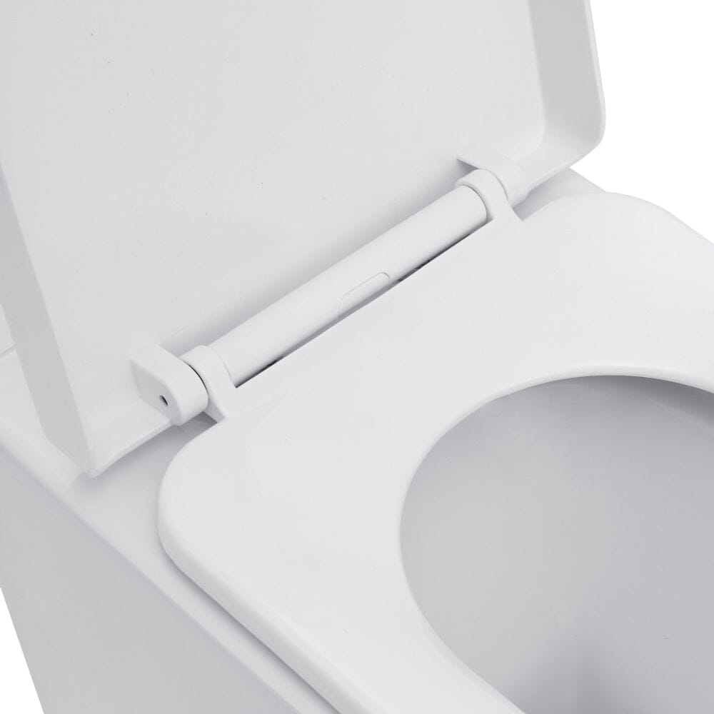 55cm D Wall Mounted Elongated Toilet