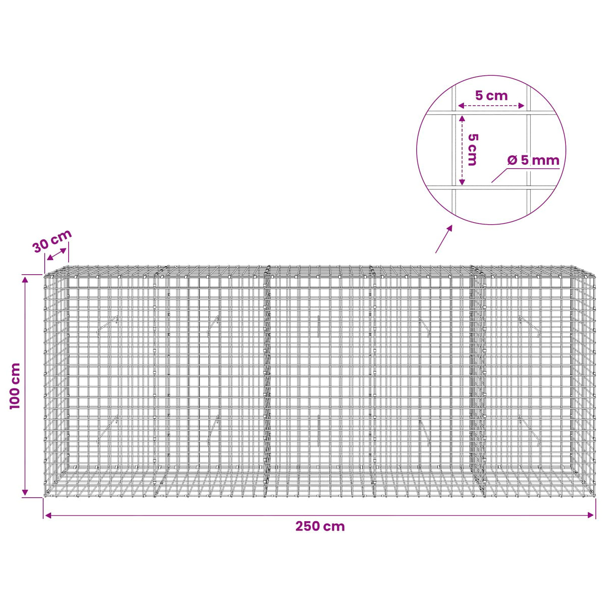 vidaXL Gabion with 5 mm Wire and 5x5 cm Mesh 250x30x100 cm 6