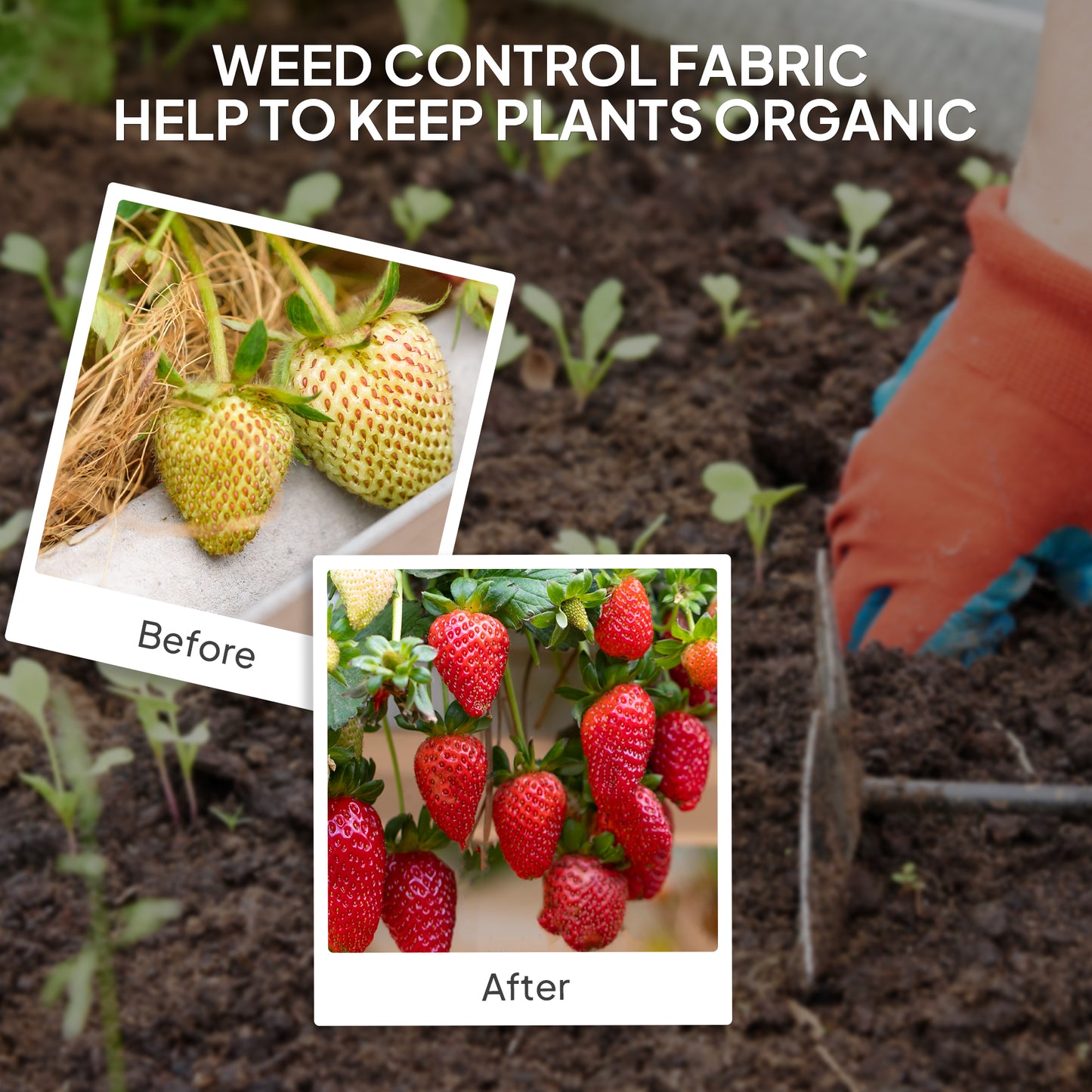 Outsunny 2m x 90m Weed Control Membrane, wytrzymała tkanina barierowa do zwalczania chwastów, 90gsm okrywa gruntowa na patio, do ogrodu, klombów, do kształtowania krajobrazu