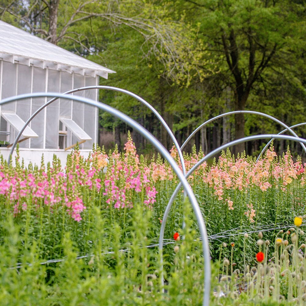 High-quality Galvanized Zinc Iron Greenhouse Hoop with Easy-Grip Clips