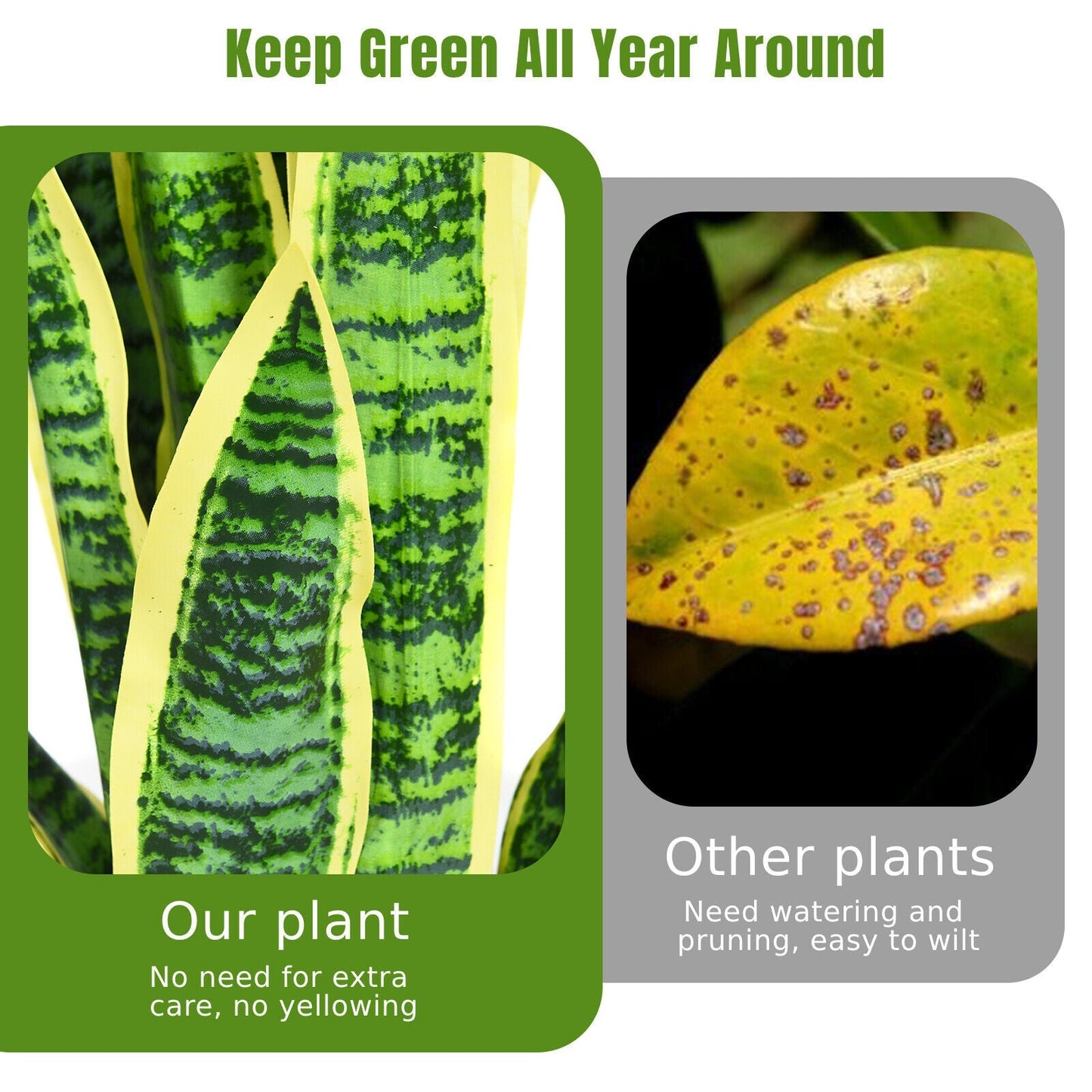 93cm Artificial Snake Plant with Pot