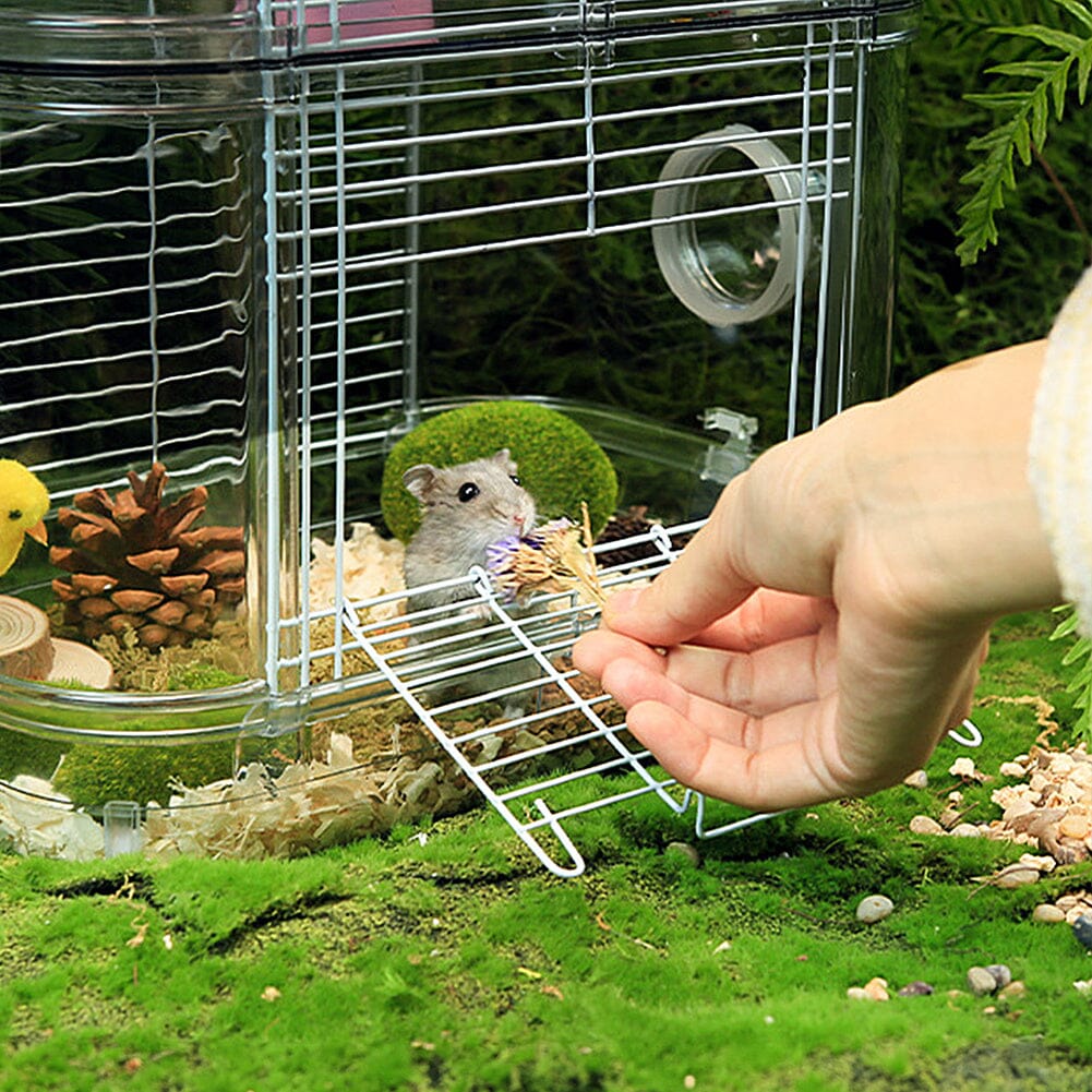 Portable Transparent Hamster Cage