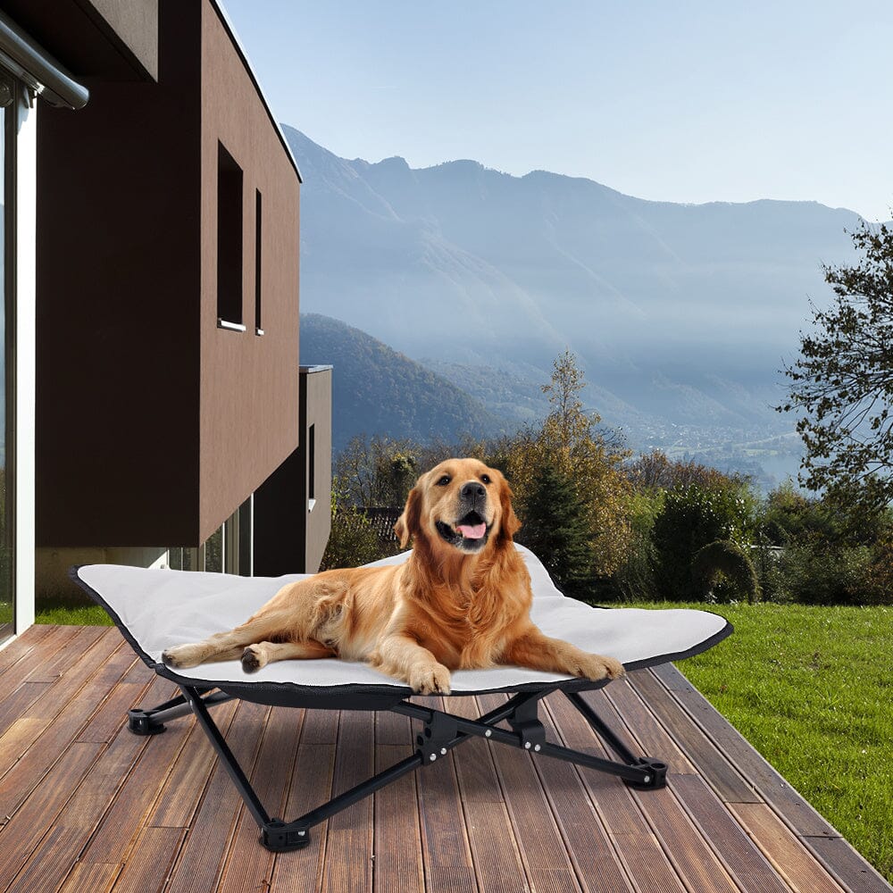 Portable Raised Pet Cot