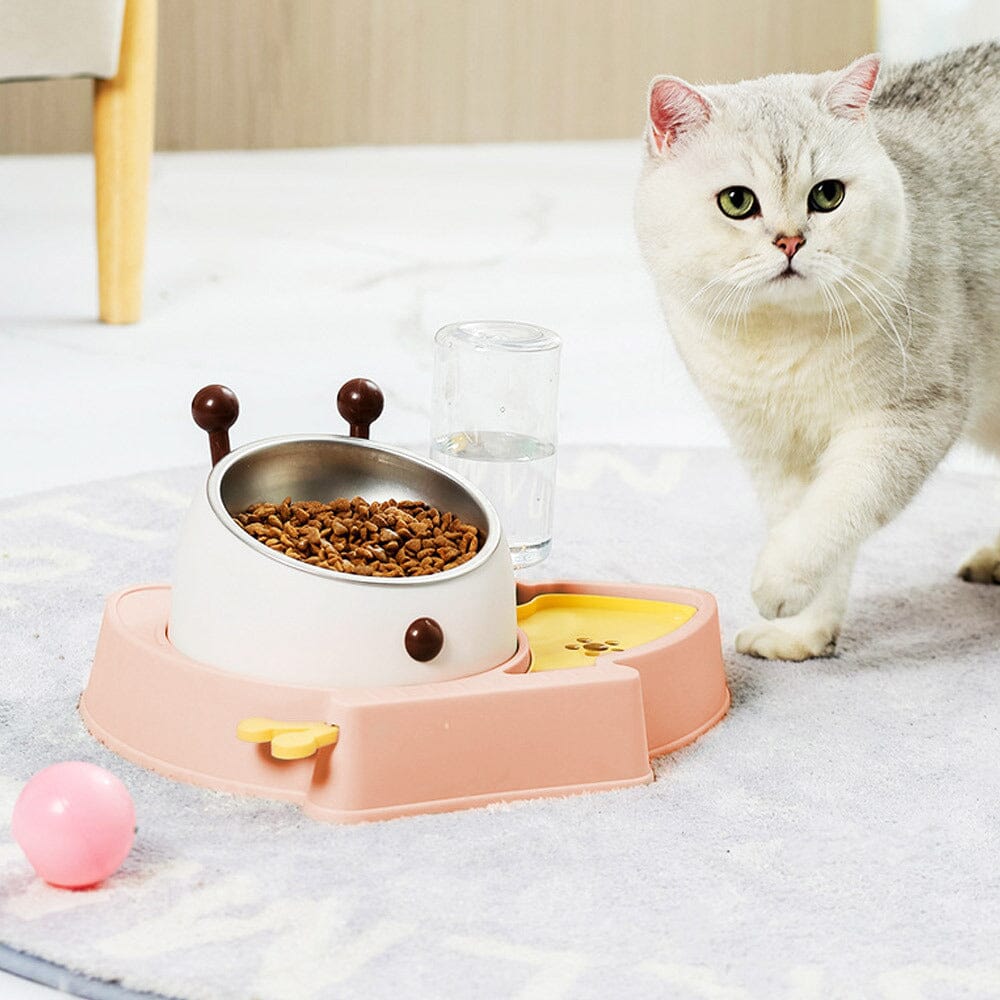 Pet Feeder and Water Dispenser Set with Slow Feeder