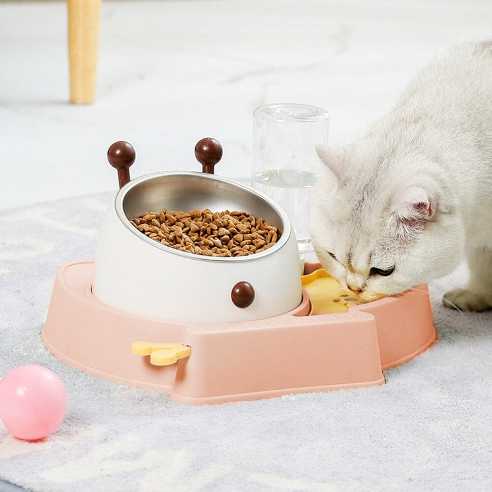 Pet Feeder and Water Dispenser Set with Slow Feeder