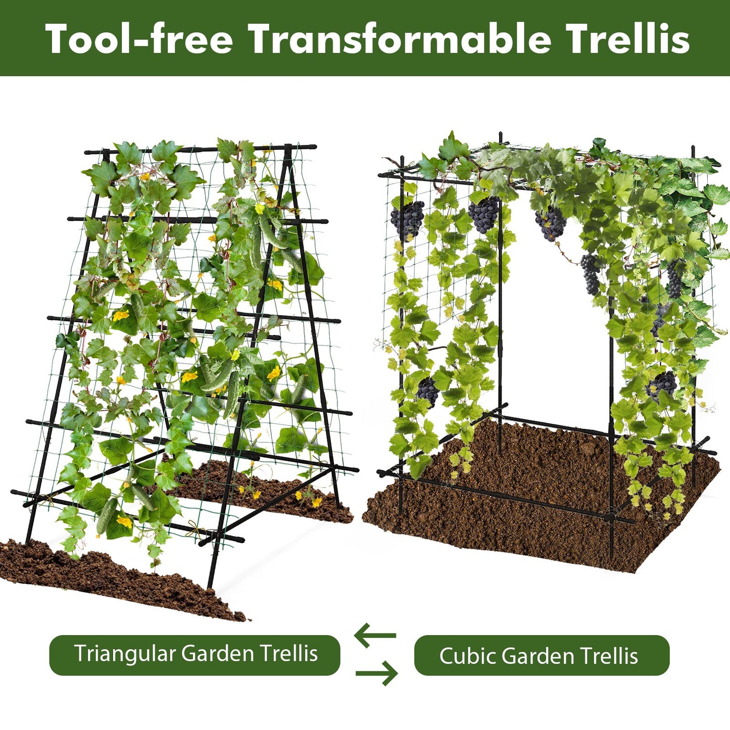 Cucumber Trellis for Climbing Plants Outdoor-Black