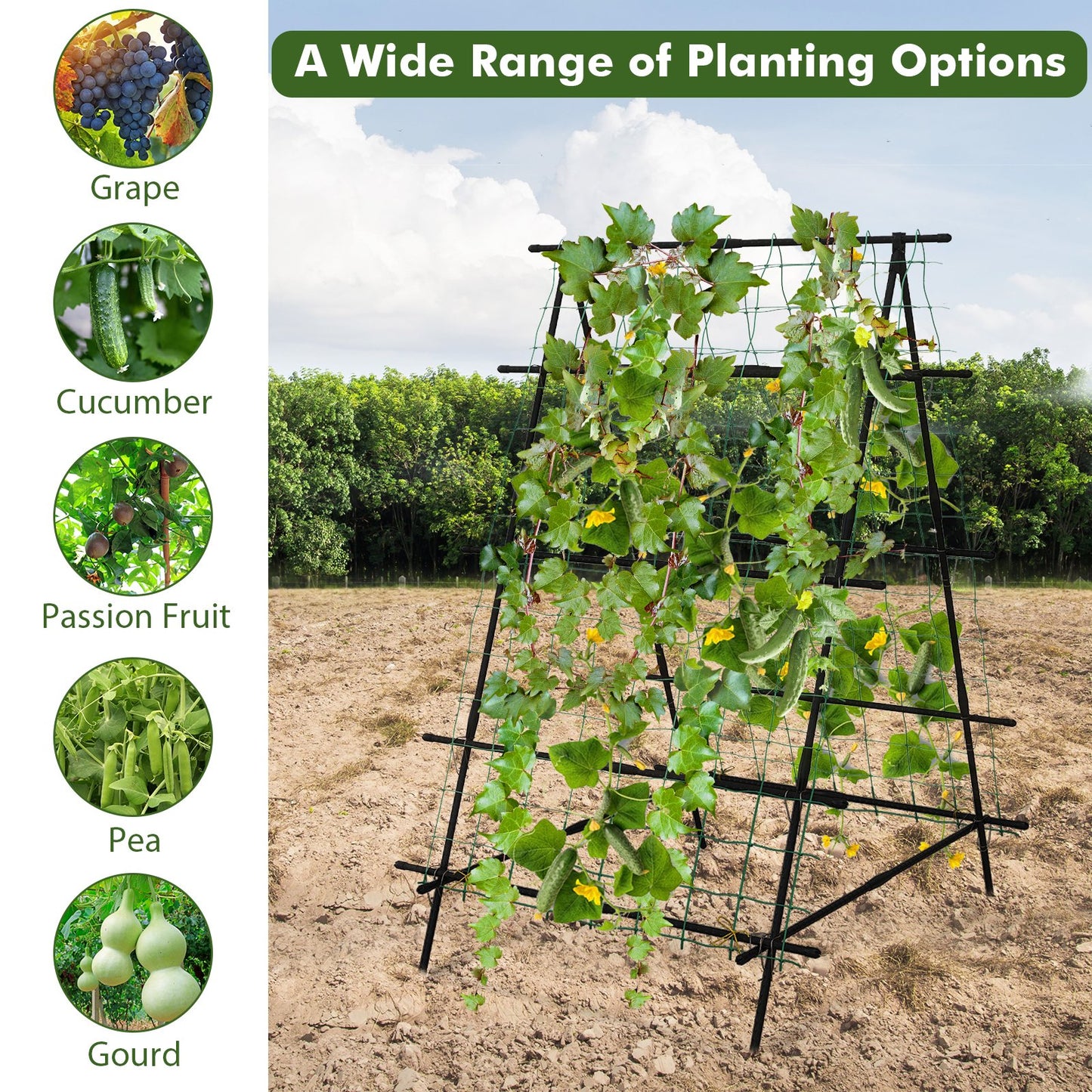 Cucumber Trellis for Climbing Plants Outdoor-Black