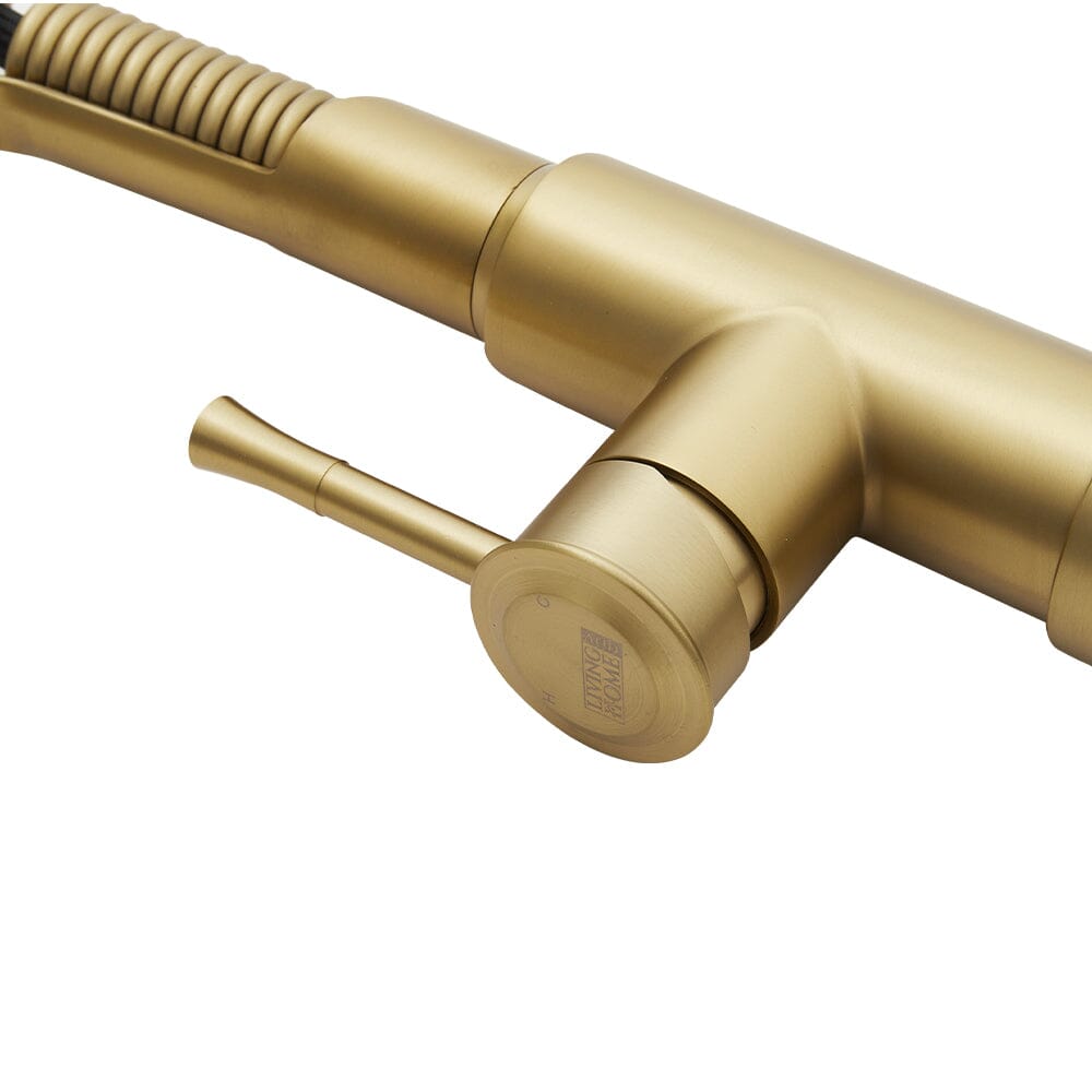 Modern Kitchen Pull Down Faucet