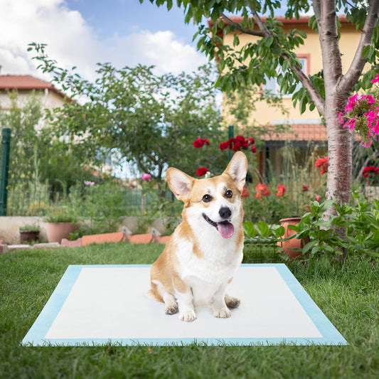 Dog and Puppy Pee Pads 90 x 60 cm(150 Counts) 6-Layer Leak-Proof Pet Pads-Blue