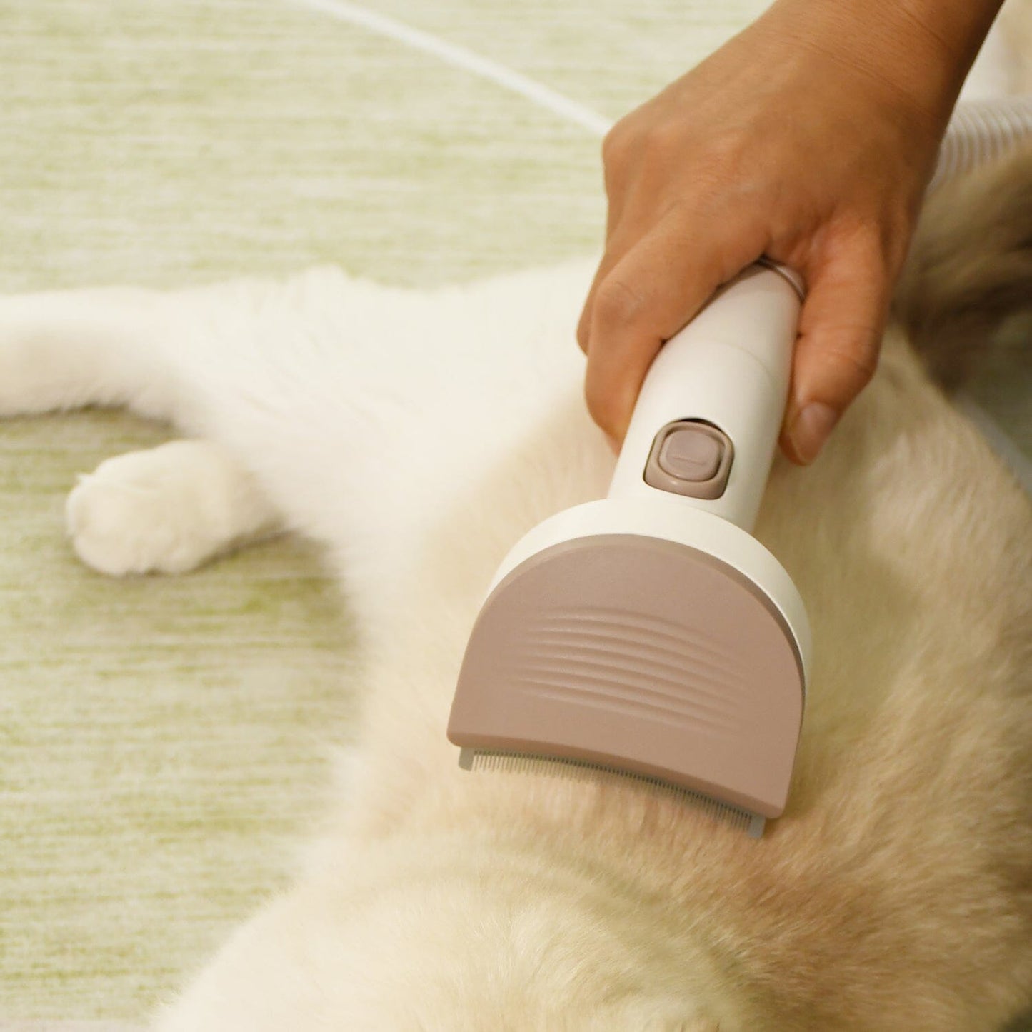 400W 3.2L Pet Grooming Vacuum Kit with 6 Tools