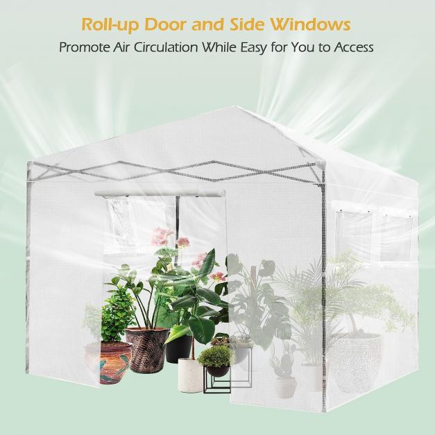 Greenhouse Outdoor Mini Walk-in Plant Portable Garden Greenhouse-White