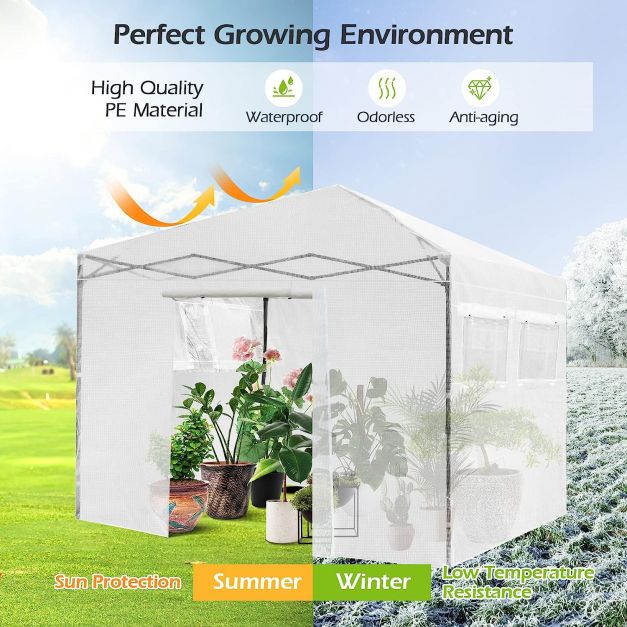 Greenhouse Outdoor Mini Walk-in Plant Portable Garden Greenhouse-White