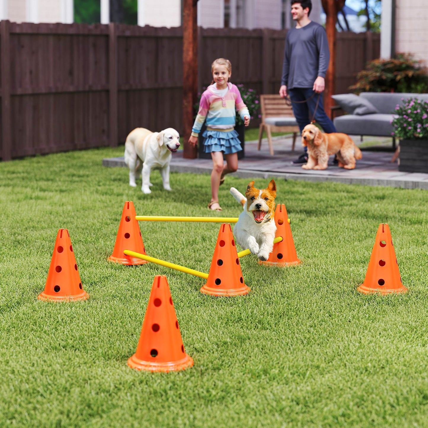 PawHut Dog Agility Equipment Zestaw sześciu stożków, sześciu tyczek z torbą transportową, trzyczęściowe, regulowane przeszkody do skakania, pomarańczowy
