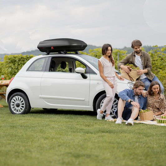 Hard Shell Rooftop Cargo Carrier Waterproof Car Storage Roof Rack Mount Carrier