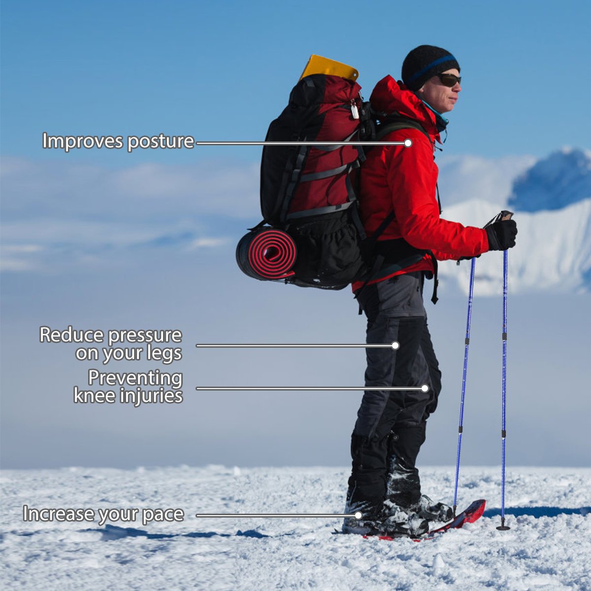 Hiking Pole Adjustable 65-135 cm-Navy