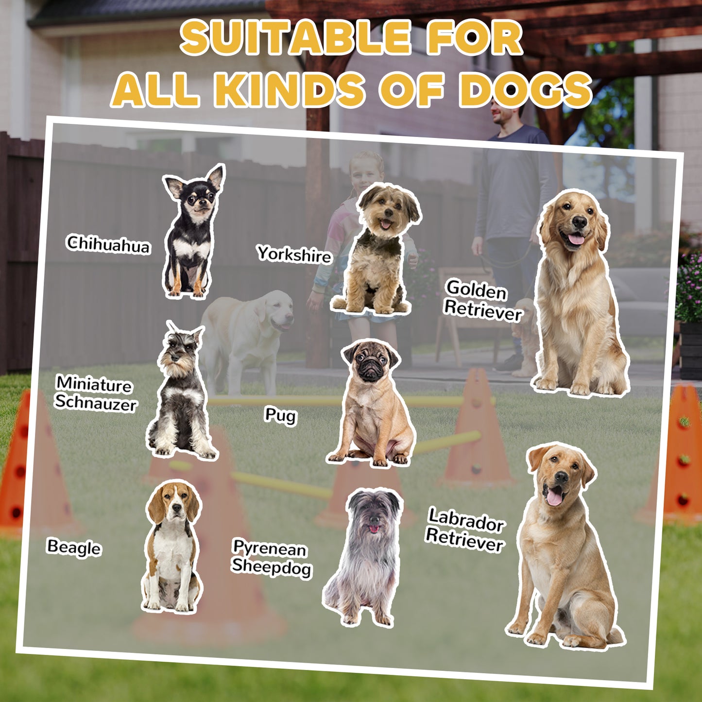 PawHut Dog Agility Equipment Set of Six Cones, Six Poles with Carry Bag, Three-Piece Adjustable Height Jumping Obstacles, Orang
