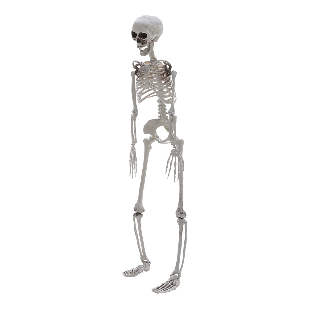 Poseable Skeleton Props for Halloween Party Decoration