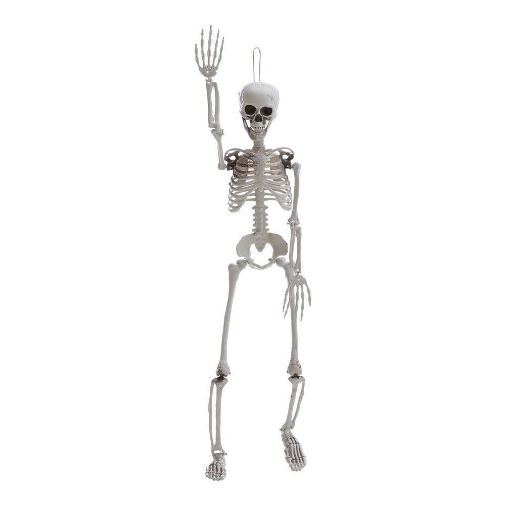 Poseable Skeleton Props for Halloween Party Decoration