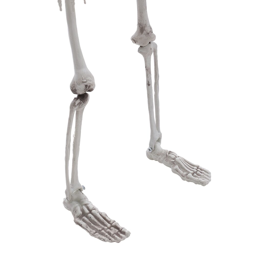 Poseable Skeleton Props for Halloween Party Decoration