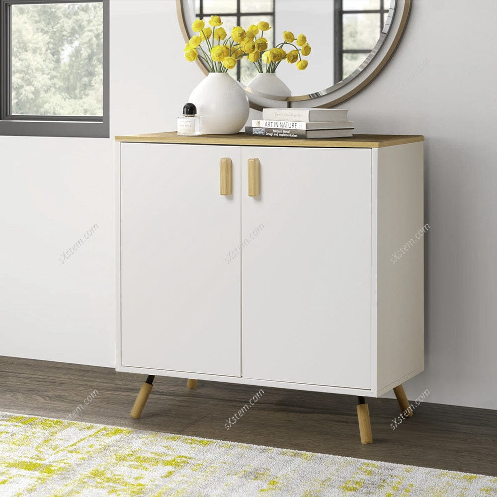 Modern Accent Storage Cabinet with Dual Doors