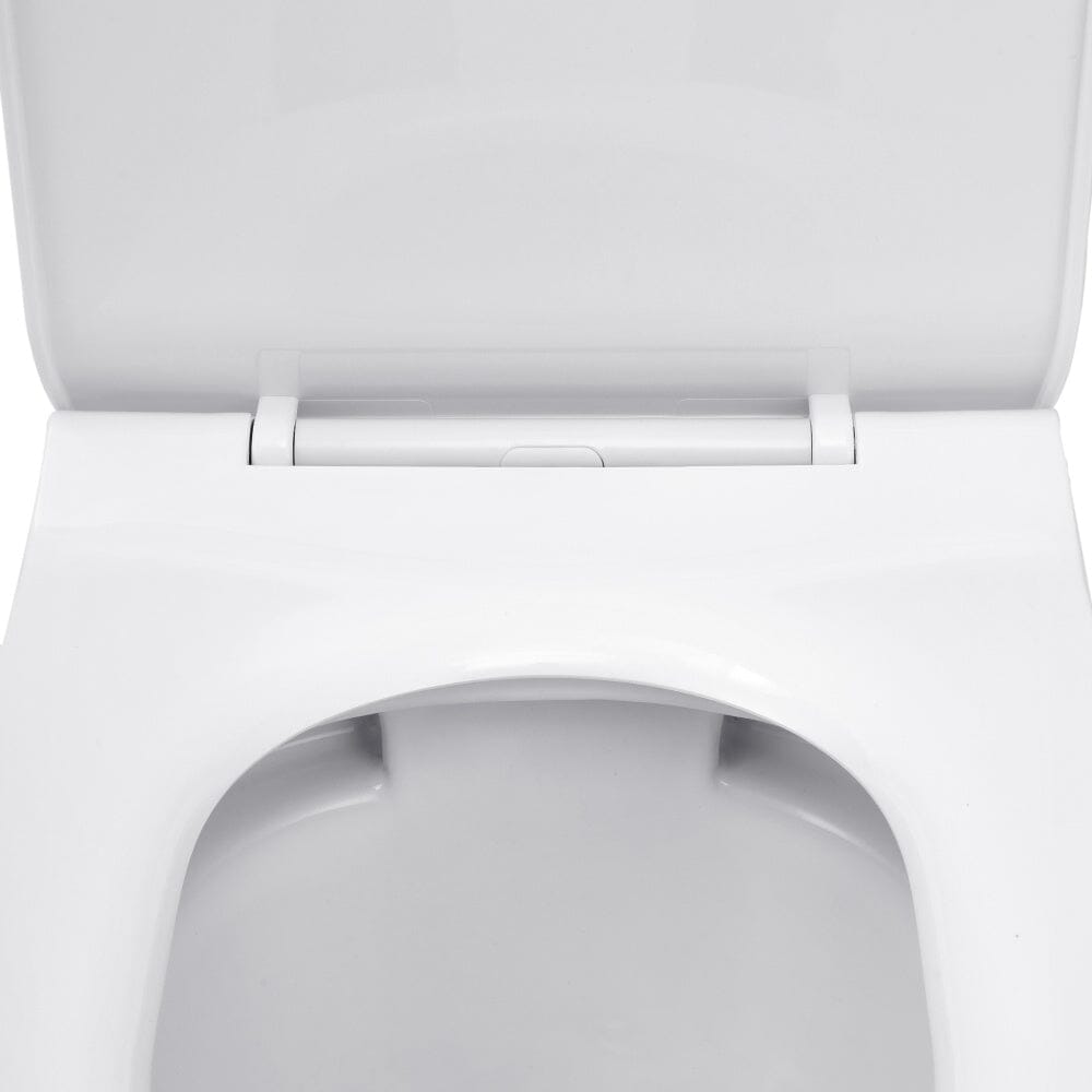 80cm H 2-Piece Elongated Toilet with Dual Flush