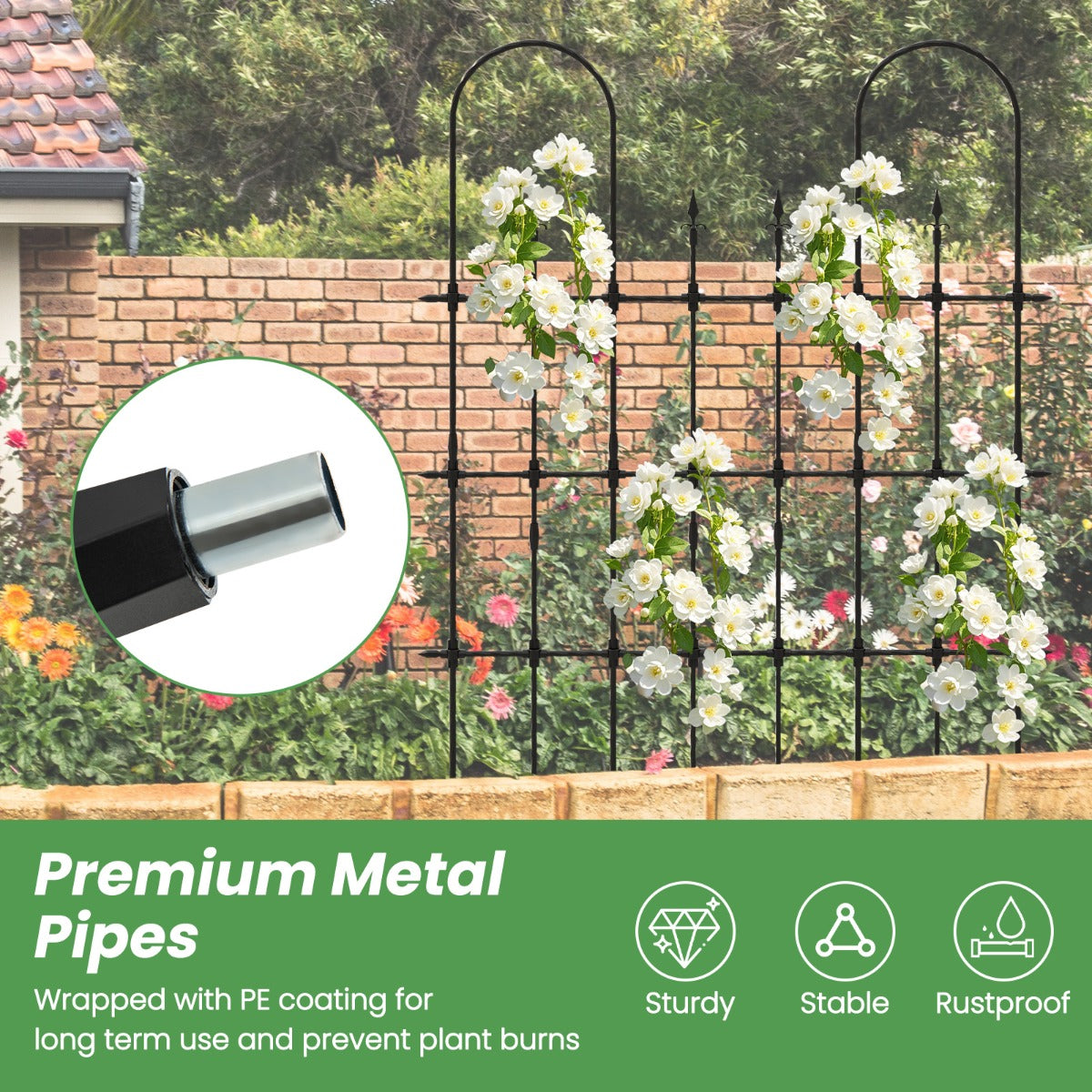 146 cm L x 186 cm H Garden Rose Arch Trellis for Climbing Plants