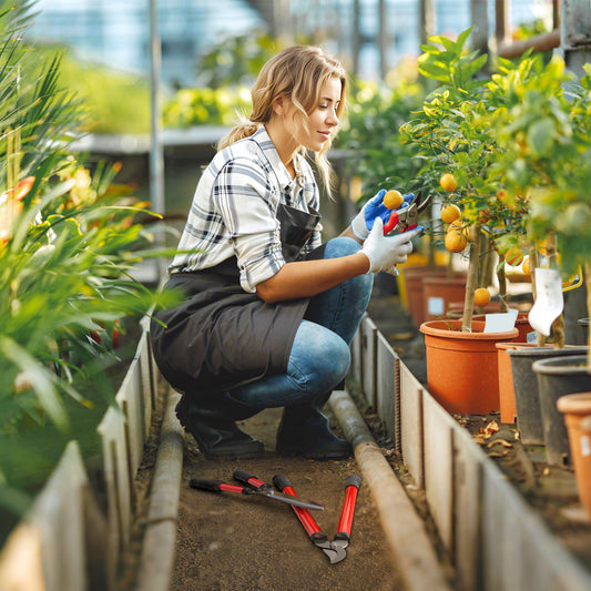 Outsunny 3 Pcs Garden Shears Set with Hedge Shears, Lopper, Garden Secateurs, Lightweight and Compact, Tree Shrub Care Kit for Pruning with Soft Grip Handle