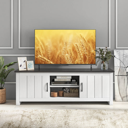 TV Stand with 2 Doors and Storage Shelves for TVs up to 65 Inches-Black