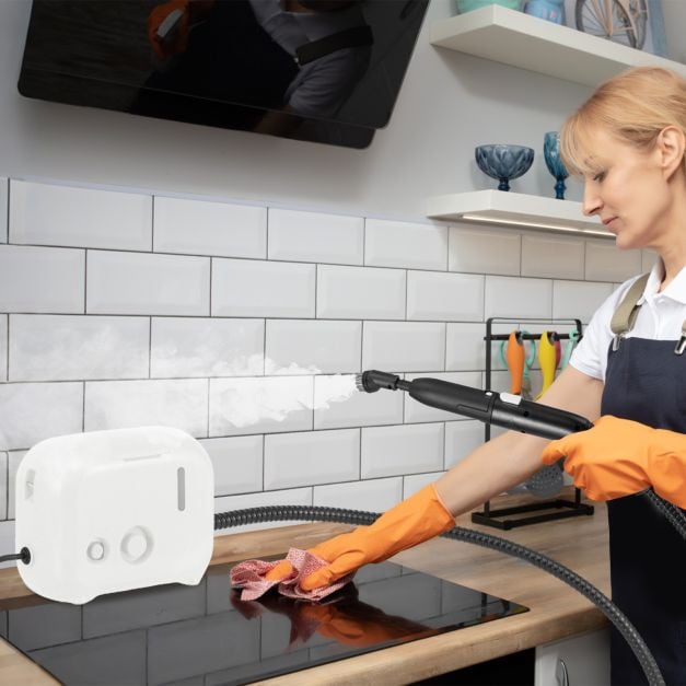 1600W Portable Steam Cleaner with 1L Water Tank-White