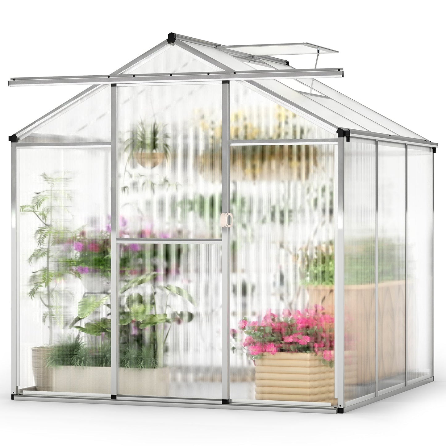 185 x 185 cm/244 x 185 cm Greenhouse Large Walk-in Green House-S