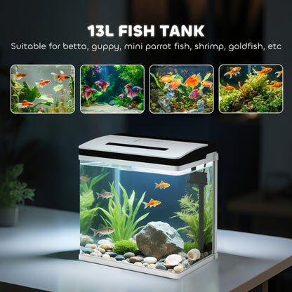 PawHut 13L Glass Aquarium Fish Tank with Filter, LED Lighting, for Betta, Guppy, Mini Parrot Fish, Shrimp, 29 x 20 x 30.5cm