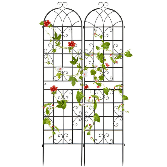 2 Pack 220 x 50 cm Metal Garden Trellis for Climbing Plants-Black