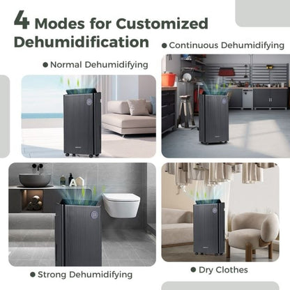 25L/D Dehumidifier for Home with 4 Modes 3-Color Indicator 24H Timer-Black
