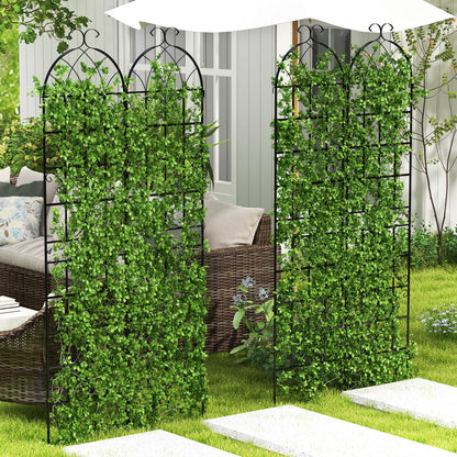 2 Pack 220 x 50 cm Metal Garden Trellis for Climbing Plants-Black