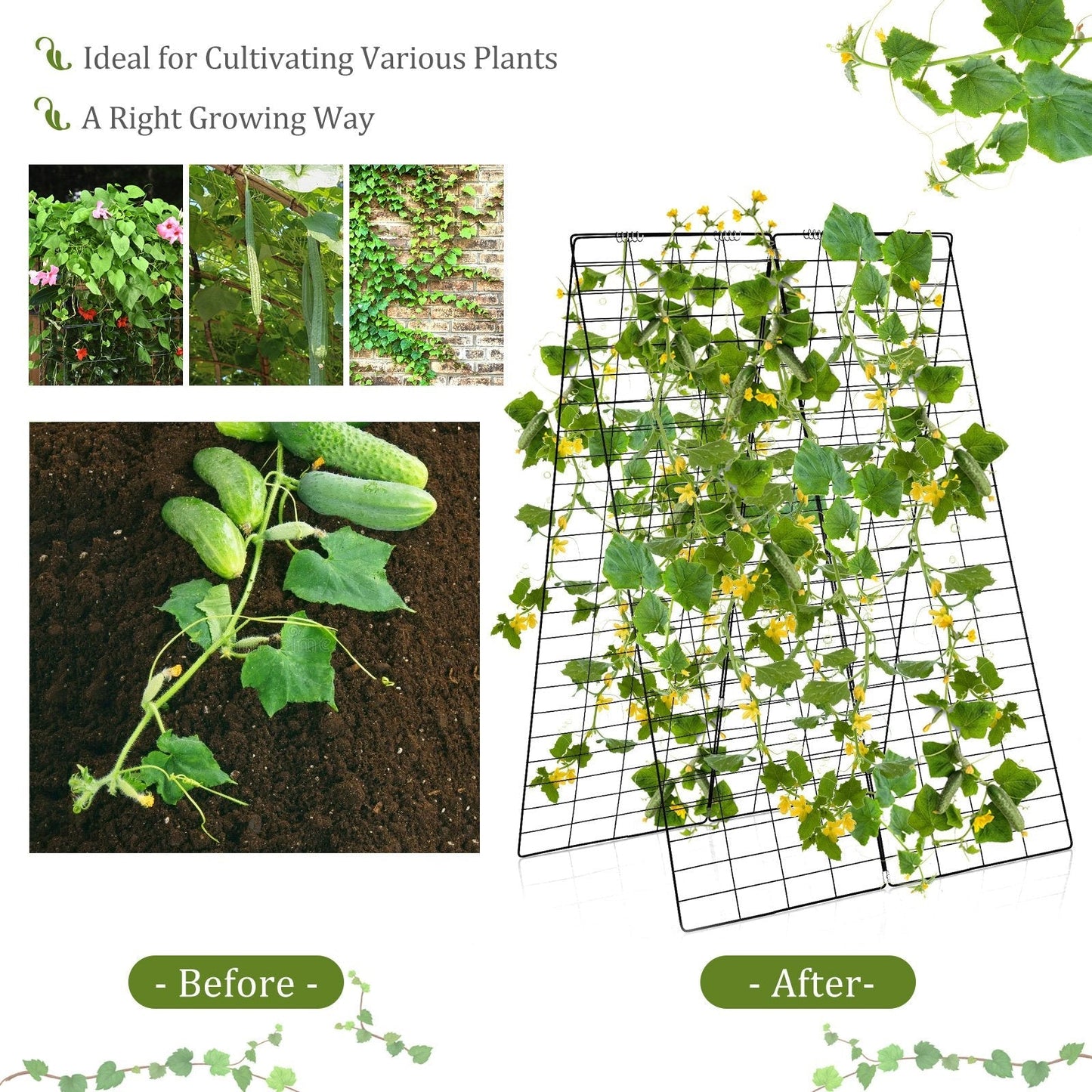 2-Pack Garden Cucumber Trellis with Accessories-Green