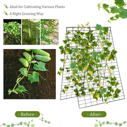 2-Pack Garden Cucumber Trellis with Accessories-Green