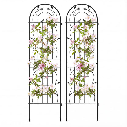 2 Pack Metal Garden Trellis for Climbing Plants-Black