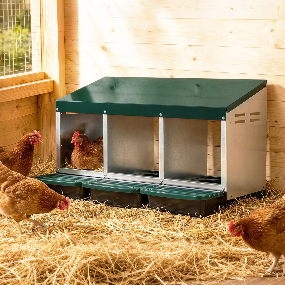 3-Compartment Roll Away Chicken Nesting Box for Hens-Green