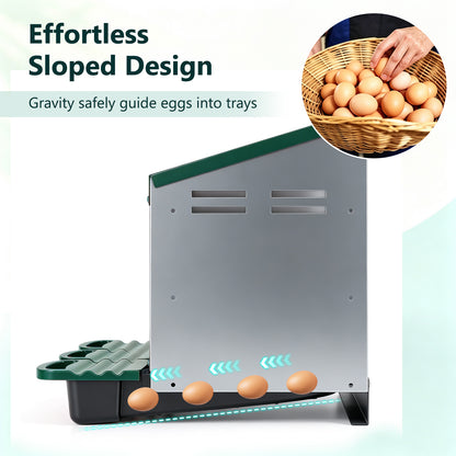 3-Compartment Roll Away Chicken Nesting Box for Hens-Green