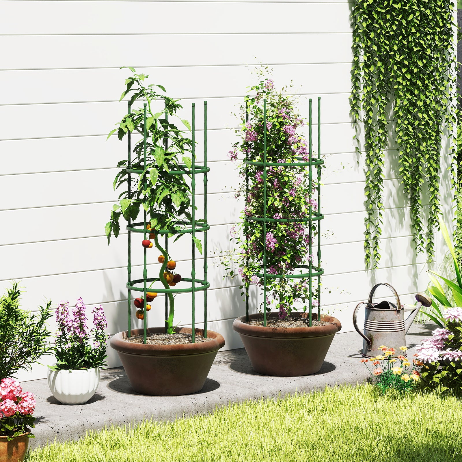 3 Pack Adjustable Tomato Cage Trellis for Climbing Plants Vines Flowers Vegetables