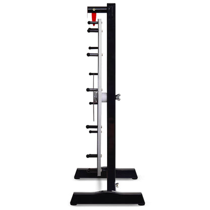 60 cm Tabletop Spinning Prize Wheel