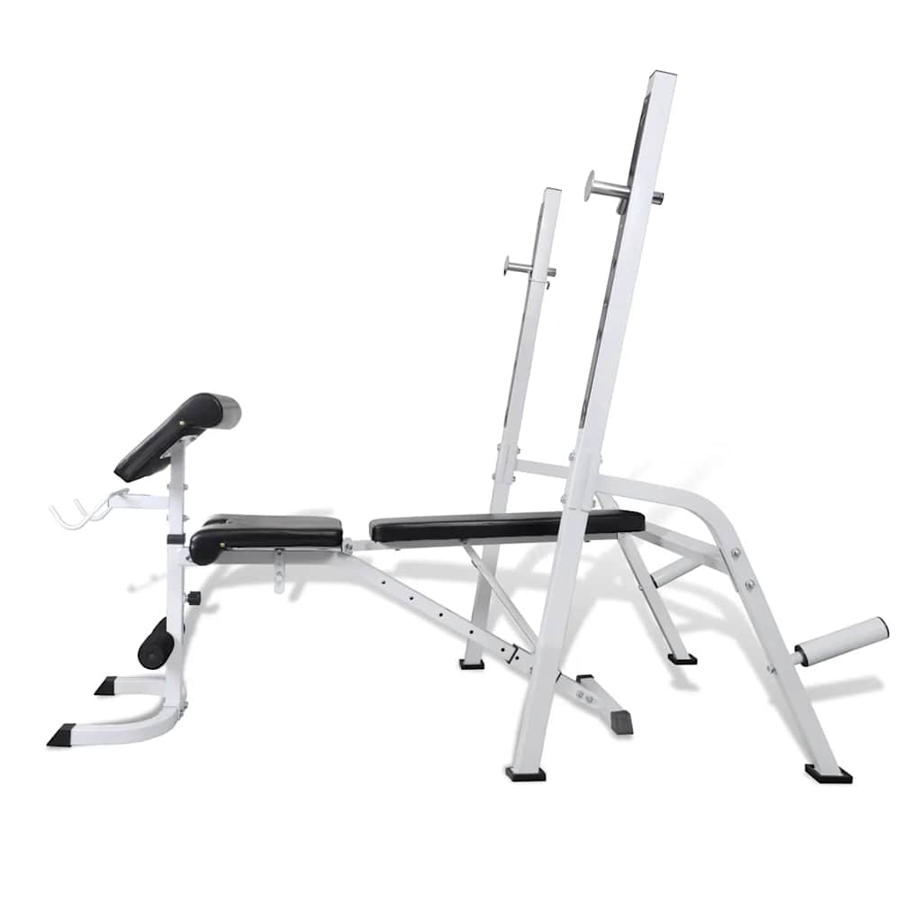 Multi-exercise Workout Bench 3