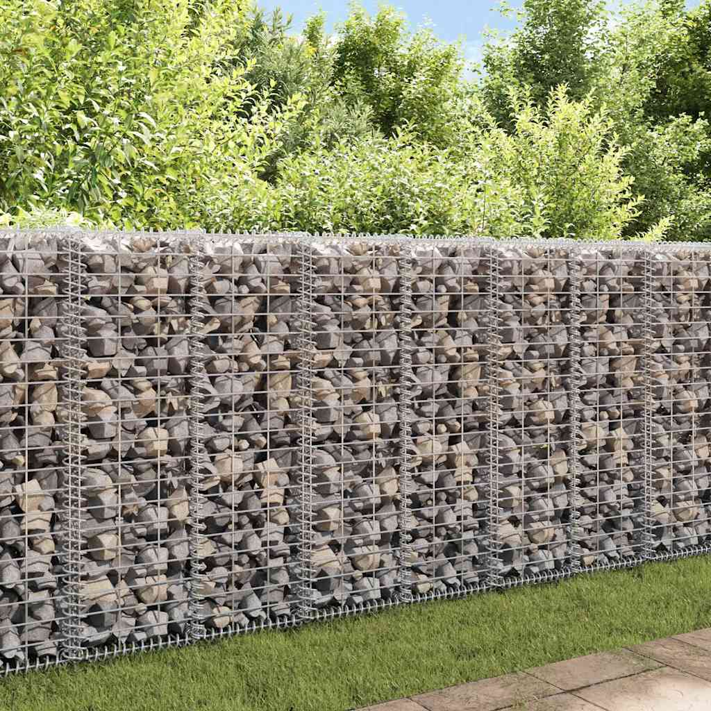 Gabion Basket with Lids Galvanised Wire 100 cm 30 cm